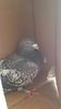 received_1224409094262126