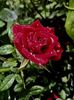 14825E9C-665C-4BD4-9B07-B3FE457C87AF