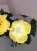 74175F1A-0D6F-4FD8-A877-68B25B6DBC18