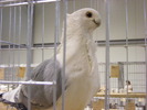 DSCF7514