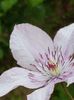 thumbnail (65)