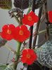 thumbnail (29)