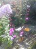 IMG-20180719-WA0034