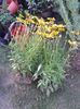 IMG-20180604-WA0055