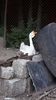 IMG-20180615-WA0020