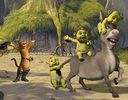 shrek-donkey-babies-wallpaper-2