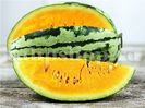 Seminte pepene Orangeglo 50buc.
