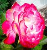 oie_4214641SEBFj6nn