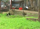 SAM_0046