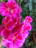 B8BE9FC9-6E88-468B-BFD3-9CE2AED8CA08