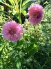 0D0EF1F5-7619-43AE-BF9B-BD2C178B525A