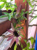 IMG-20180730-WA0004