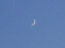 Luna noua in Balanta