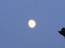 Luna in crestere in Capricorn