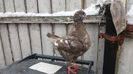 20180324_105715[1]