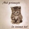 pisymauletz930-avatare_ro_thumb