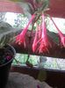 Photo0041