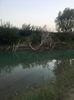 02-09-2018 Putna