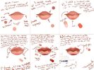 lip_tutorial_paint_tool_sai__by_alexandraeatspeople-d7qfxky