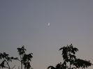 Luna in crestere in Scorpion