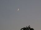 Luna in crestere in Scorpion