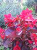 Photo0230