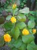 Photo0267