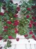 Photo0281