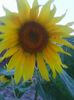 Photo0292