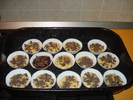 ASTEPTAND CALDURA CUPTORULUI