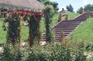 Gradina Botanica din Jibou, Judetul Salaj