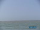 PICT0606