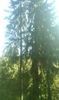 IMG-20180924-WA0049