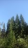 IMG-20180924-WA0048