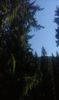 IMG-20180924-WA0047