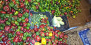 IMG-20180926-WA0003