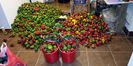 IMG-20180926-WA0004