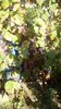 IMG-20180922-WA0015