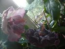 P1400192