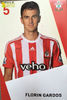 Florin Gardos - Southampton 14-15