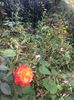 E6857554-A286-4415-B834-5BD967ABEFD2