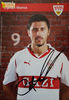 Ciprian Marica - VFB Stuttgart 10-11