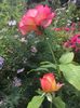 DB860791-8809-434B-9A74-56289D10F6A2