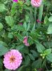 BD99644E-13CE-44C8-BF72-609AEF28302A
