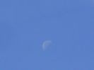 Ultimul patrar - Luna in Rac