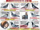 2018.MAI.T