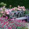fragant garden