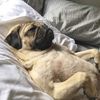 *exasperata de tipetele lor pleaca de la masa si se pune IP