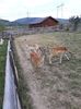 IMG-20180909-WA0007