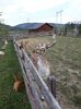 IMG-20180909-WA0012